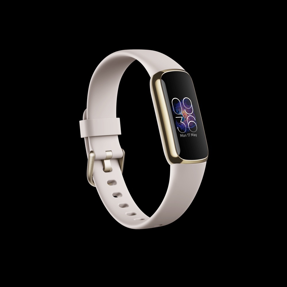 Fitbit Luxe Watch Stainless Steel